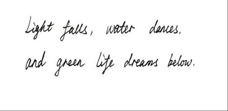 46CC