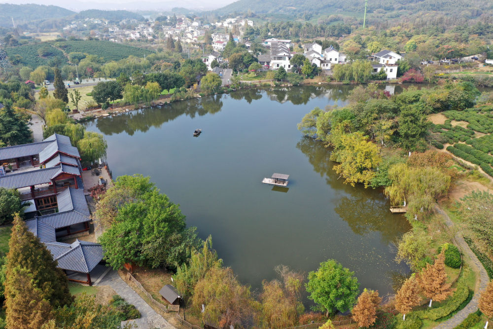 江苏南京市江宁区黄龙岘茶文化特色村(11月6日摄,无人机照片)。新华社记者 金良快 摄